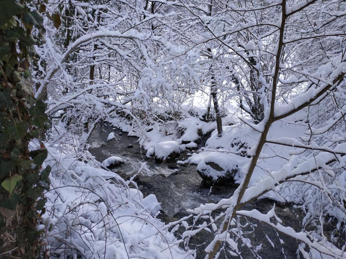 Centre De Vacances La Salamandre Arrens-Marsous ภายนอก รูปภาพ