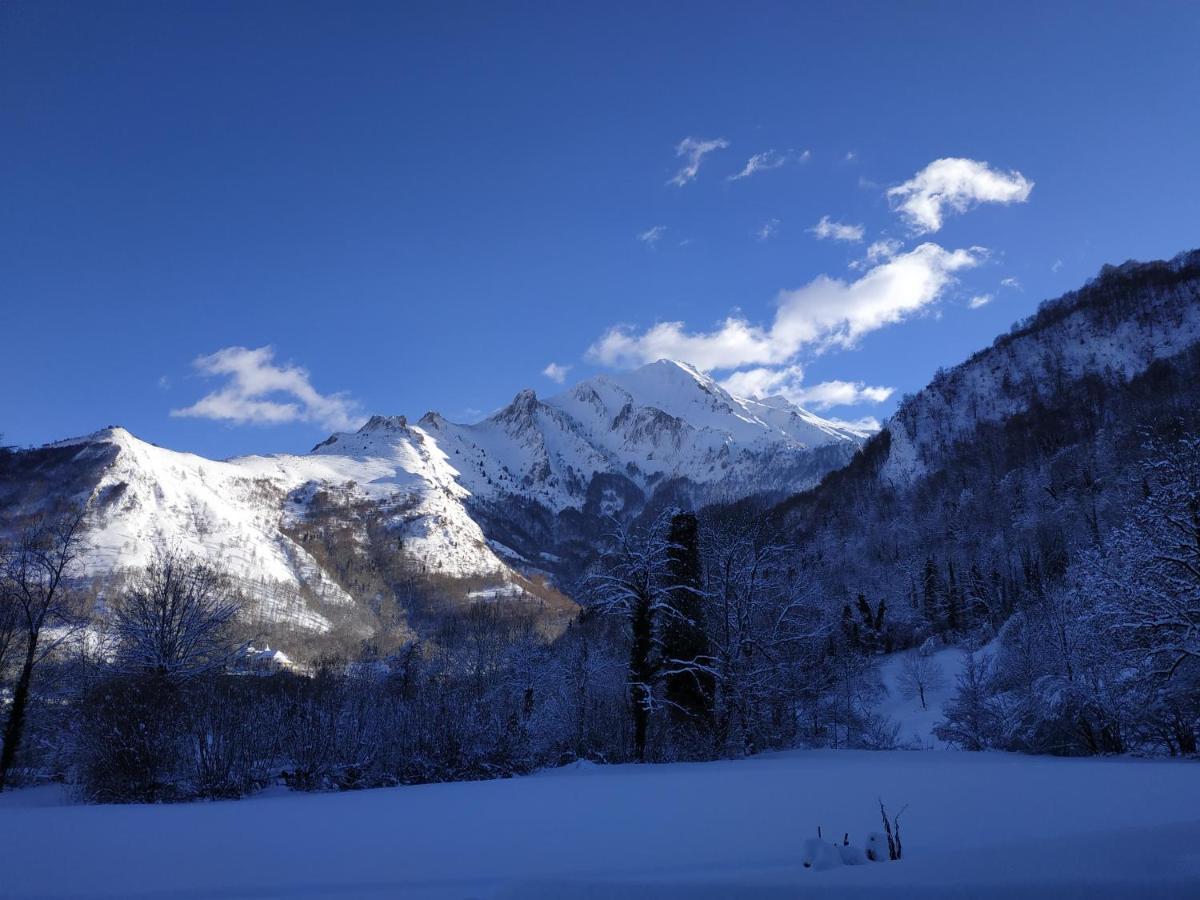 Centre De Vacances La Salamandre Arrens-Marsous ภายนอก รูปภาพ